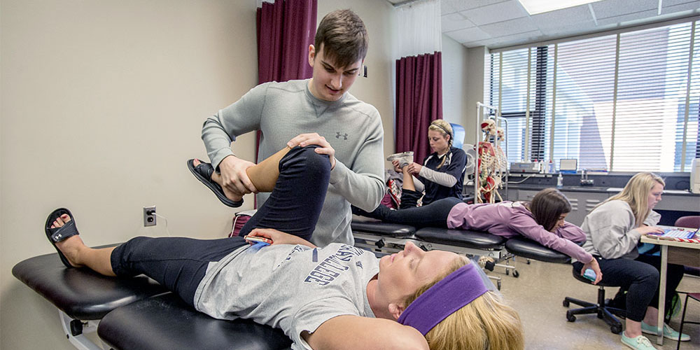 Physical Therapist Assistant Students